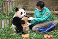 Load image into Gallery viewer, Giant Panda Protection Fund
