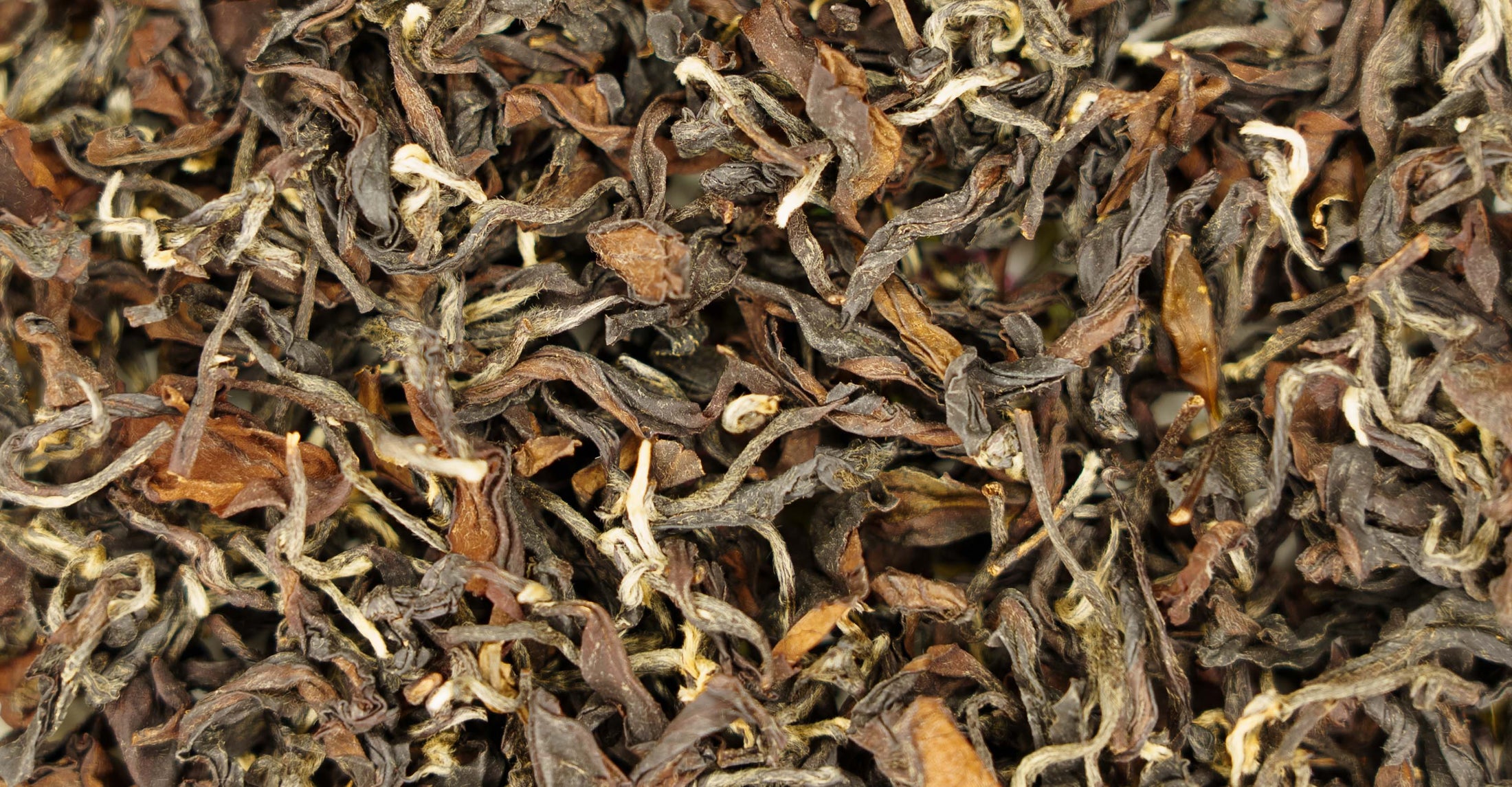 Tea Master's Oriental Beauty