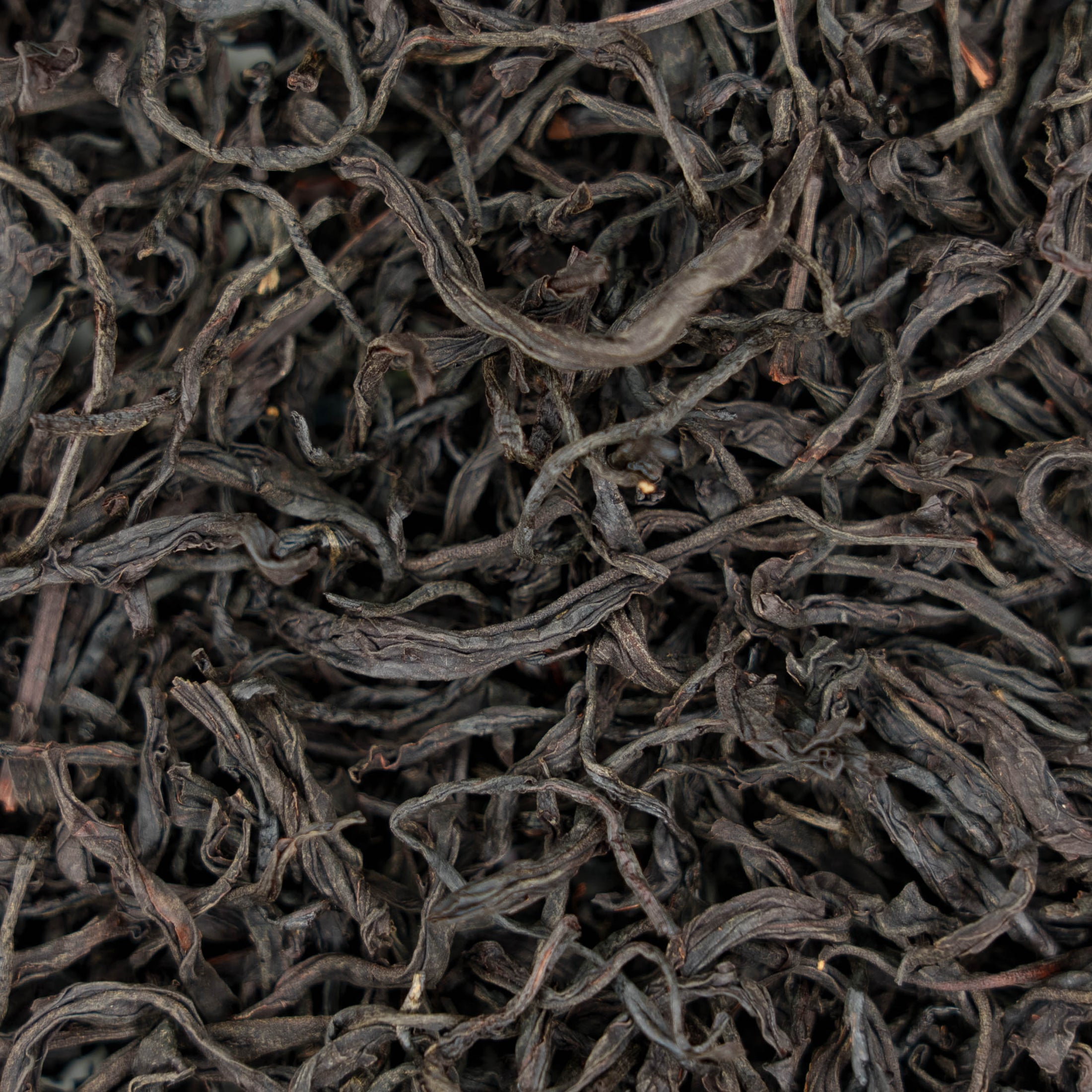 Tea Master's Sun Moon Lake