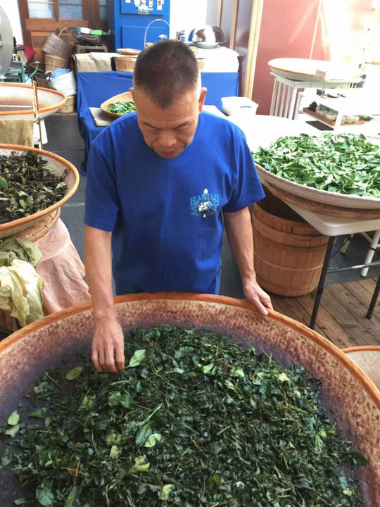 Tea Master Fang Hand-Selecting tea